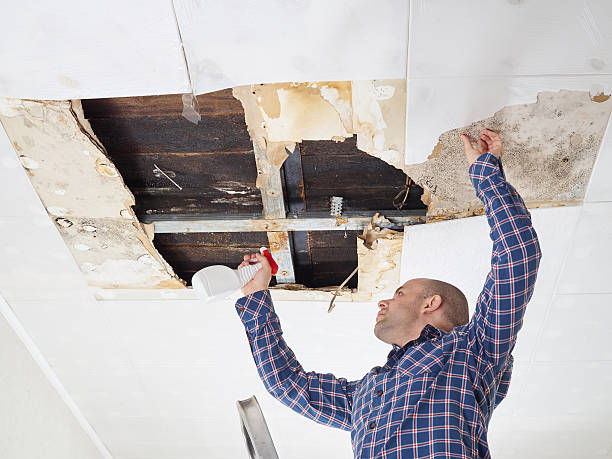 Best Environmental Consulting for Mold Prevention  in Whetstone, AZ